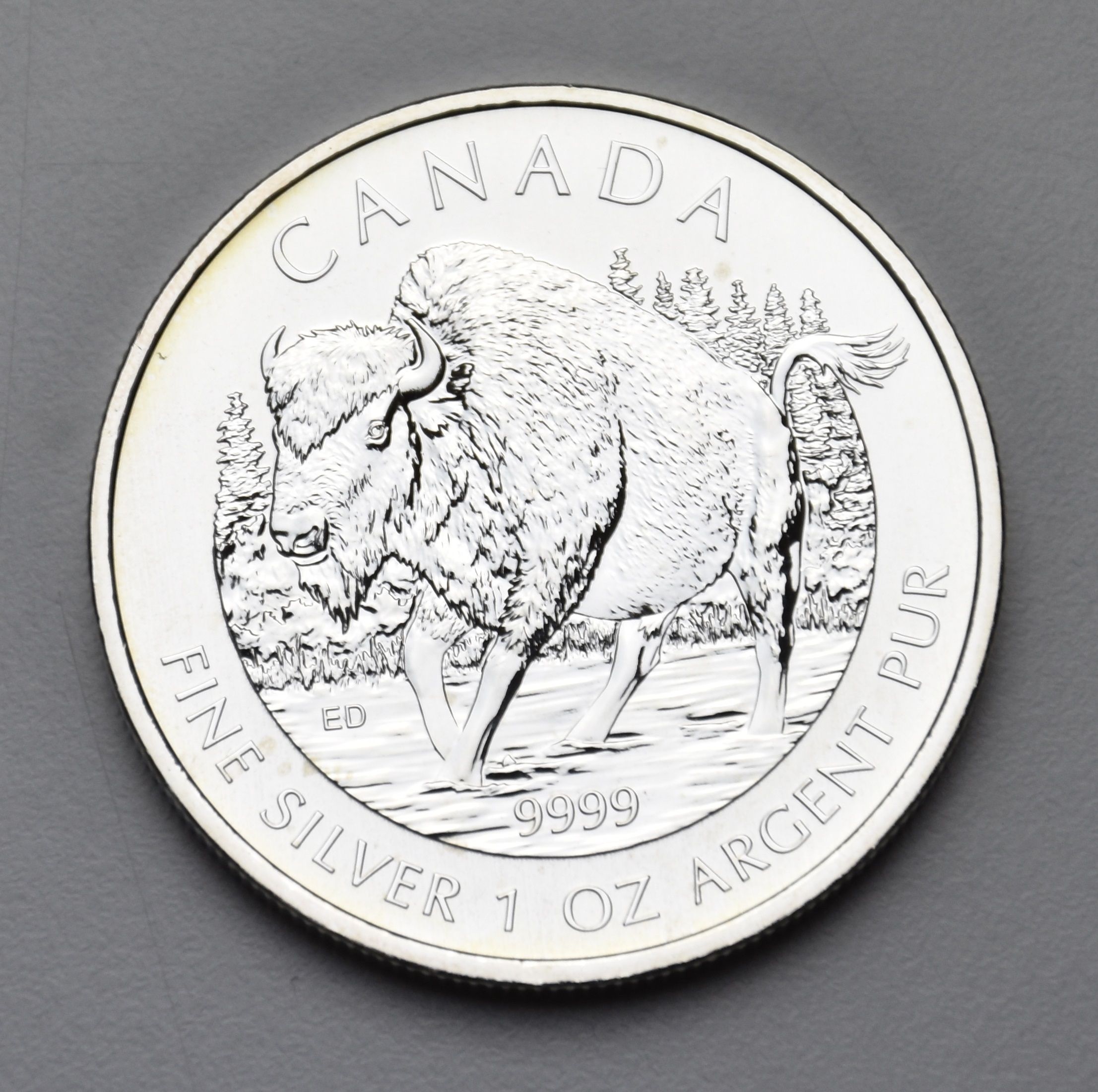 Wildlife Series "Bison" 2013 - Kanada 1 oz Silbermünze *Sonderangebot*