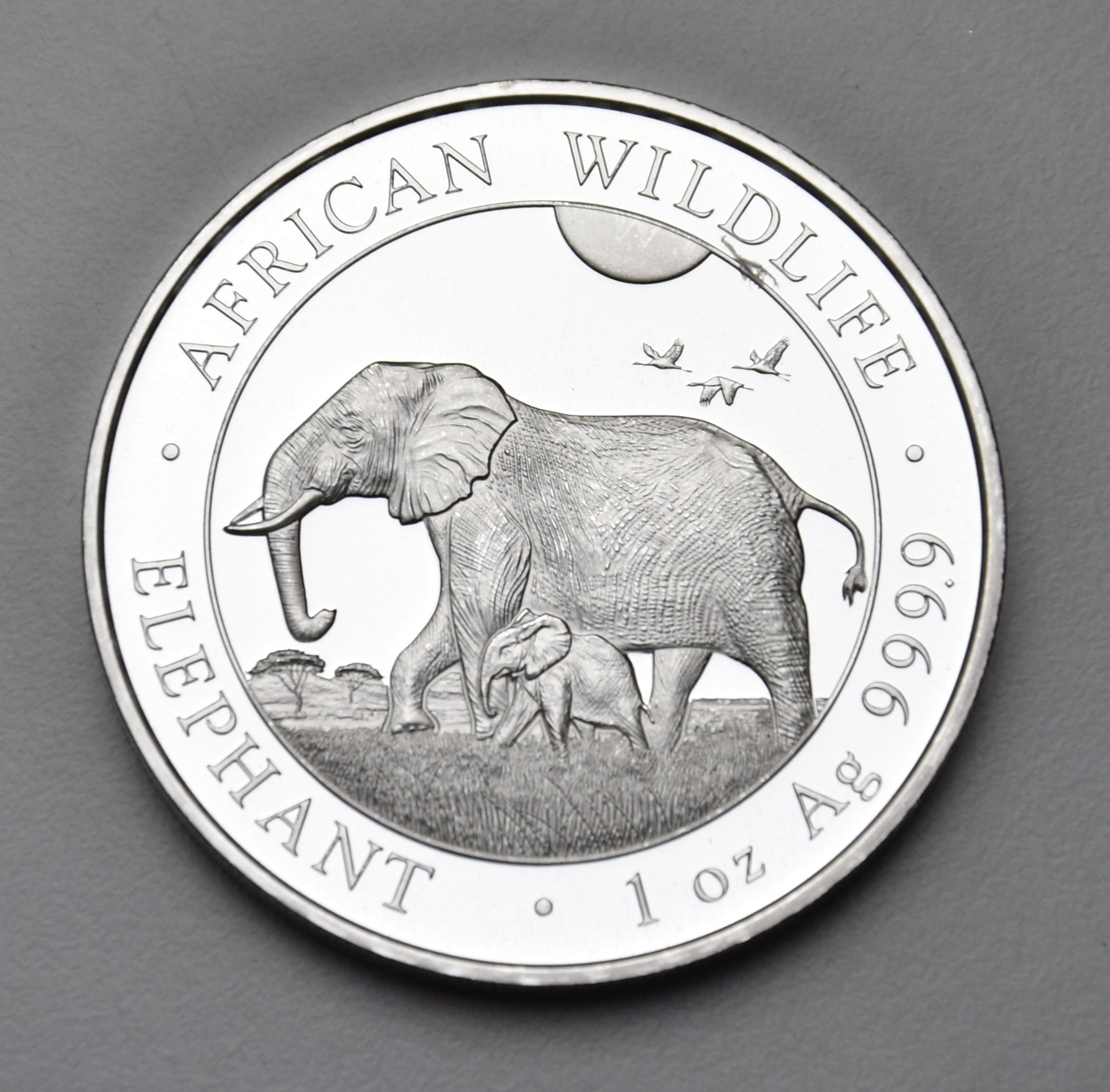 Elefant - Somalia 1 oz Silbermünze - Diverse Jahre