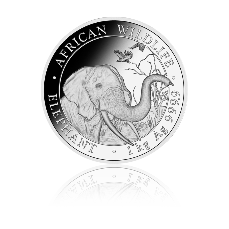 Elefant 2018 - Somalia 1 kg Silbermünze .9999