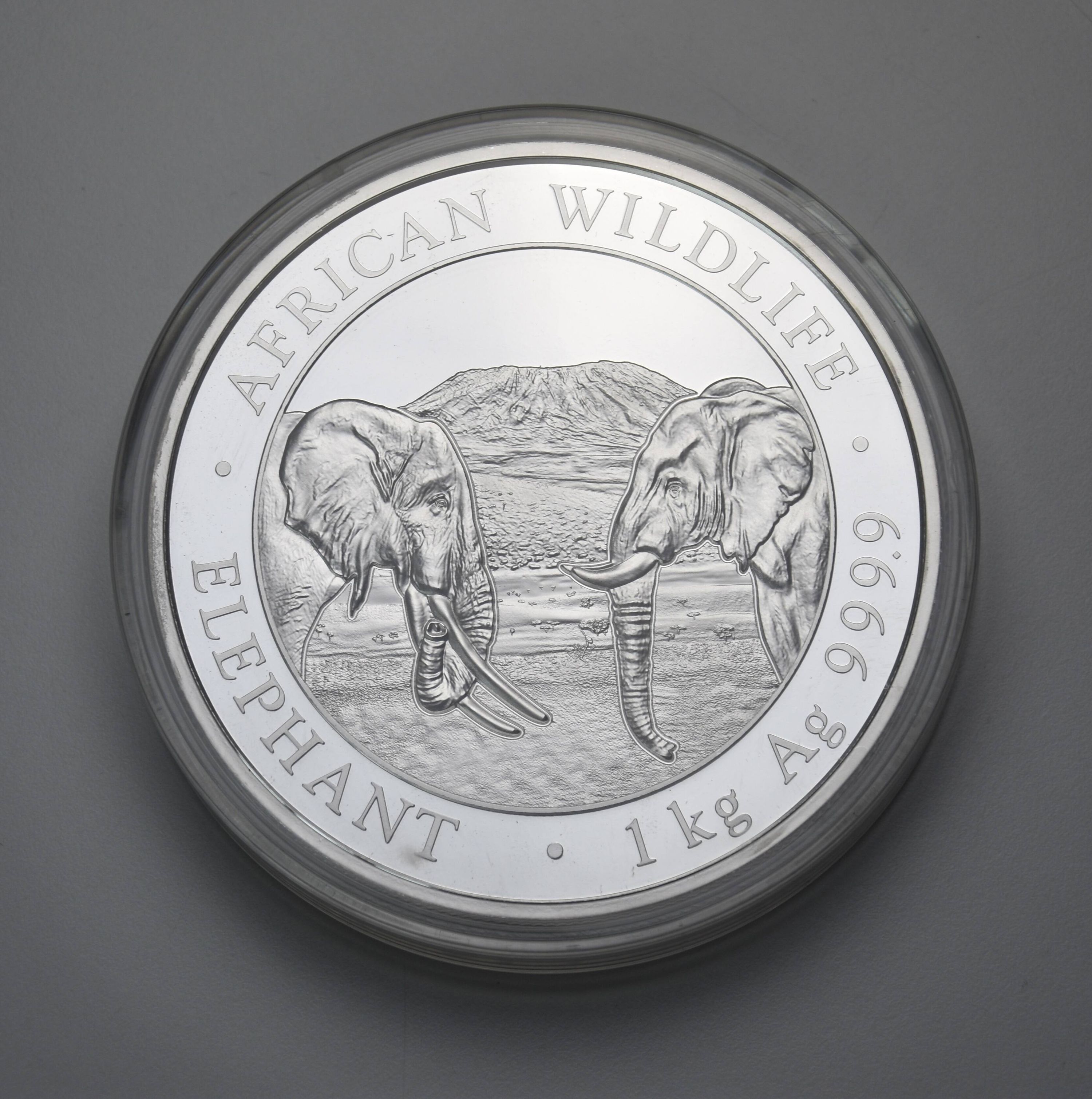 Elefant 2020 - Somalia 1 kg Silbermünze .9999