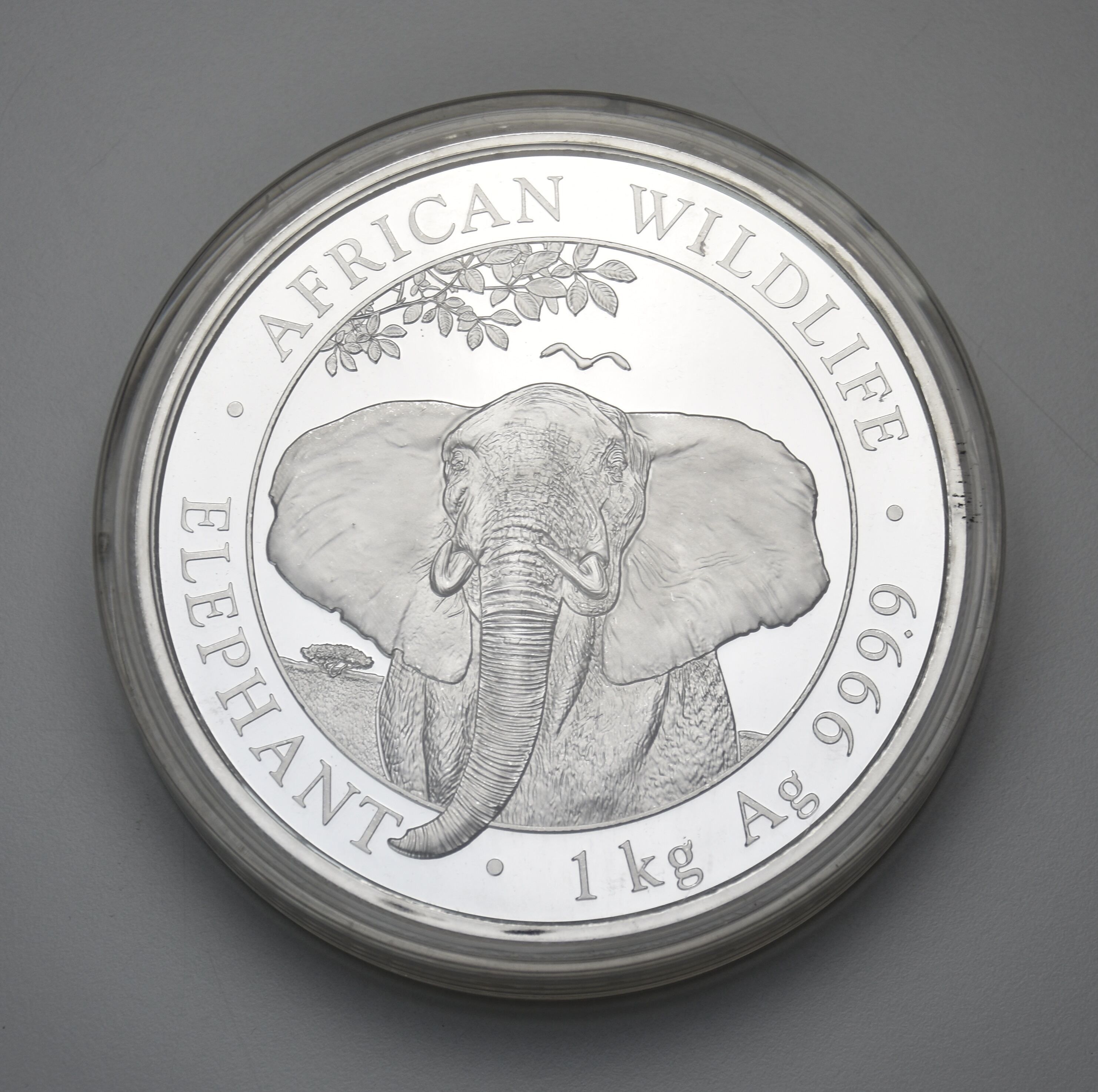 Elefant 2021 - Somalia 1 kg Silbermünze .9999