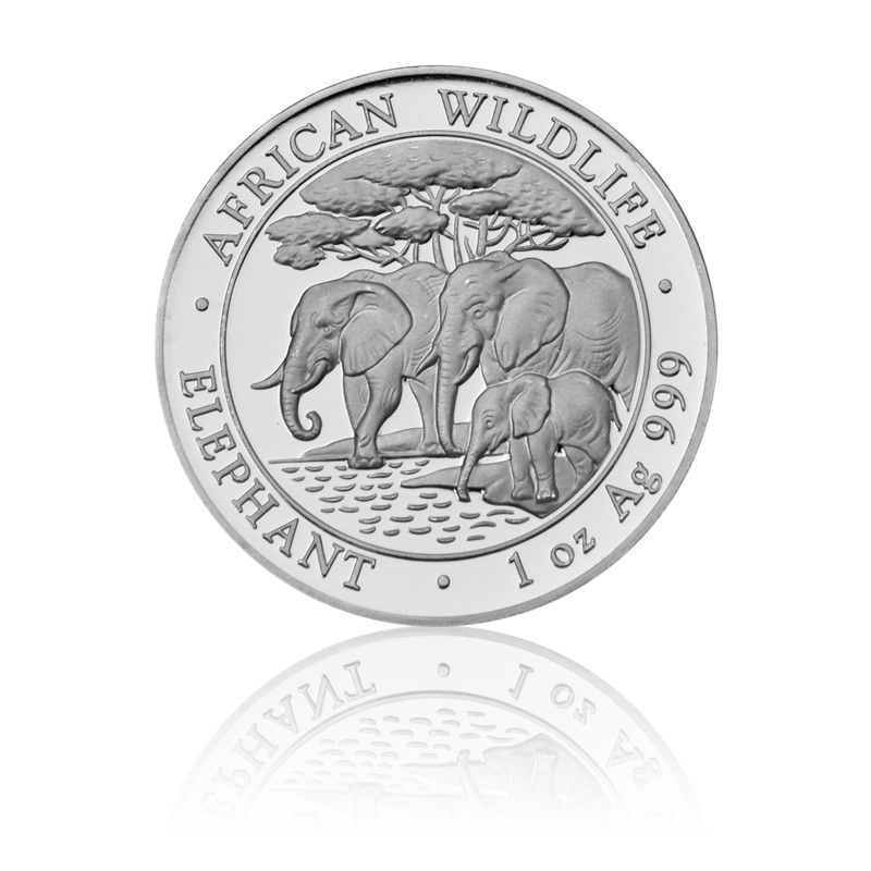 Elefant 2013 - Somalia 1 oz Silbermünze .999