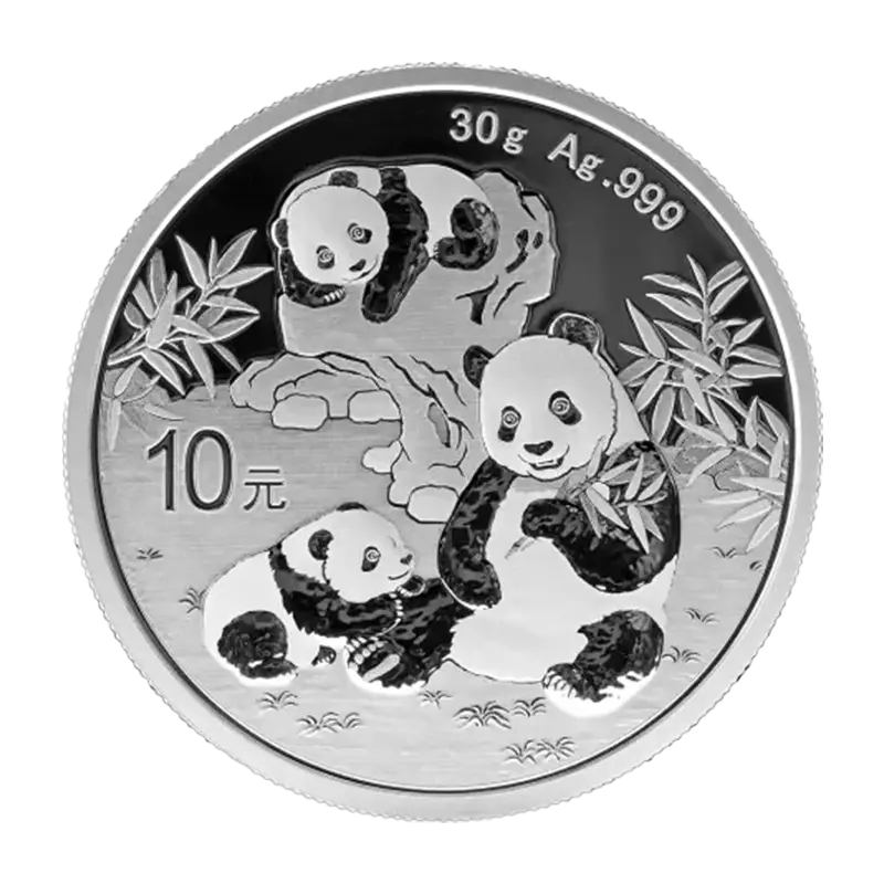 Panda 2025 - China 30 g Silbermünze