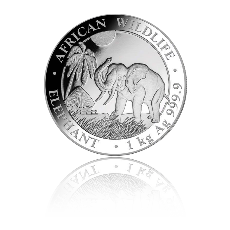 Elefant 2017 - Somalia 1 kg Silbermünze .9999