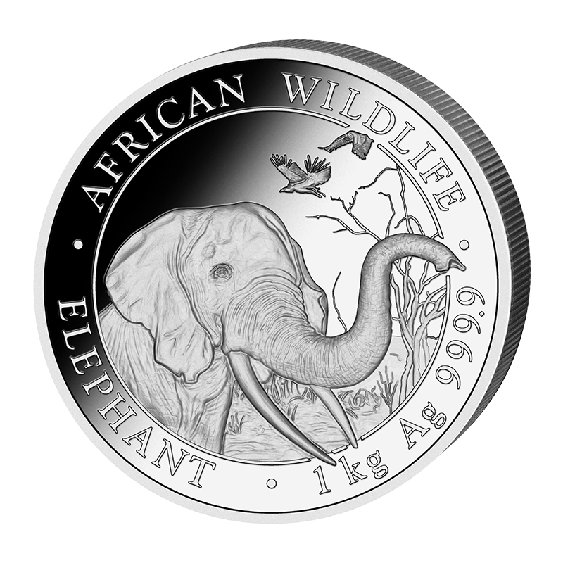 Elefant 2018 - Somalia 1 kg Silbermünze .9999