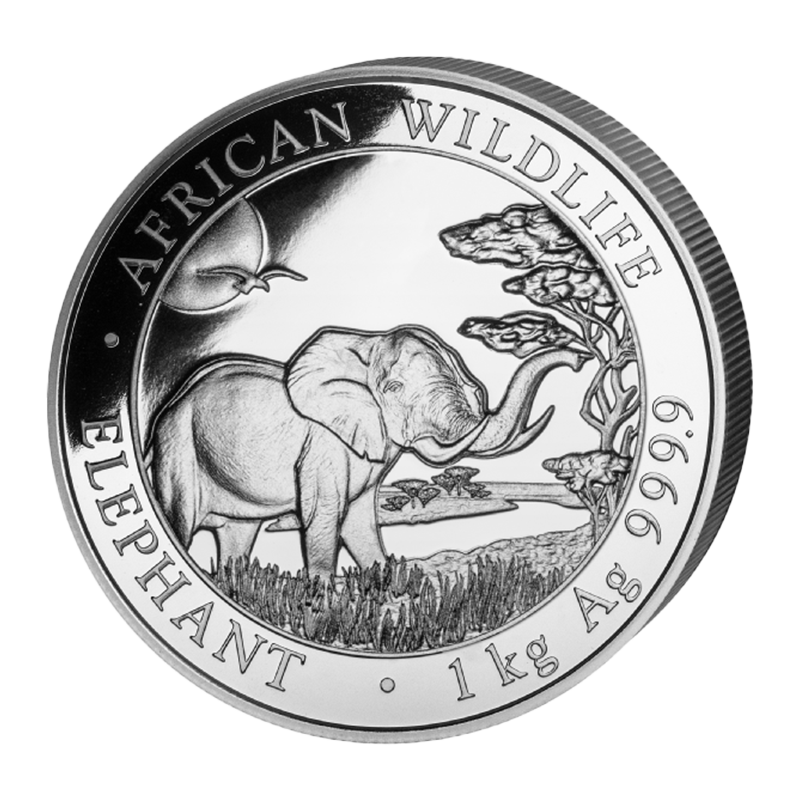 Elefant 2019 - Somalia 1 kg Silbermünze .9999
