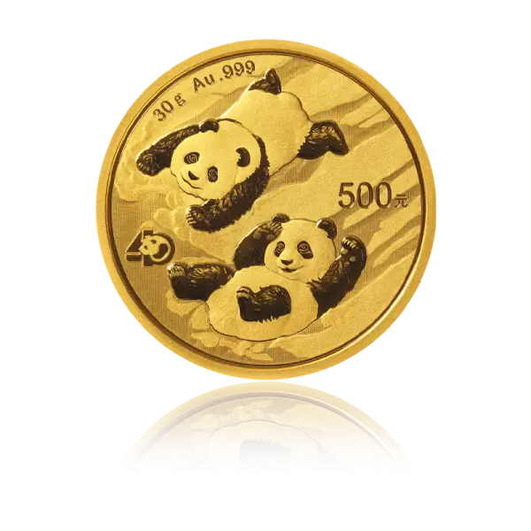 Panda 2022 - China 30 g Goldmünze .999