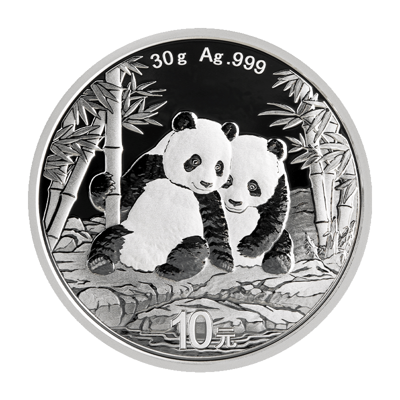 Panda 2026 - China 30 g Silbermünze
