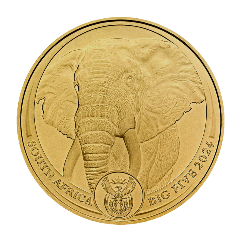 Big Five Elefant 2024 - Südafrika 1 oz Goldmünze