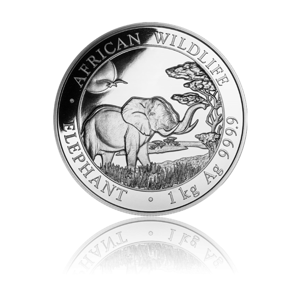 Elefant 2019 - Somalia 1 kg Silbermünze .9999