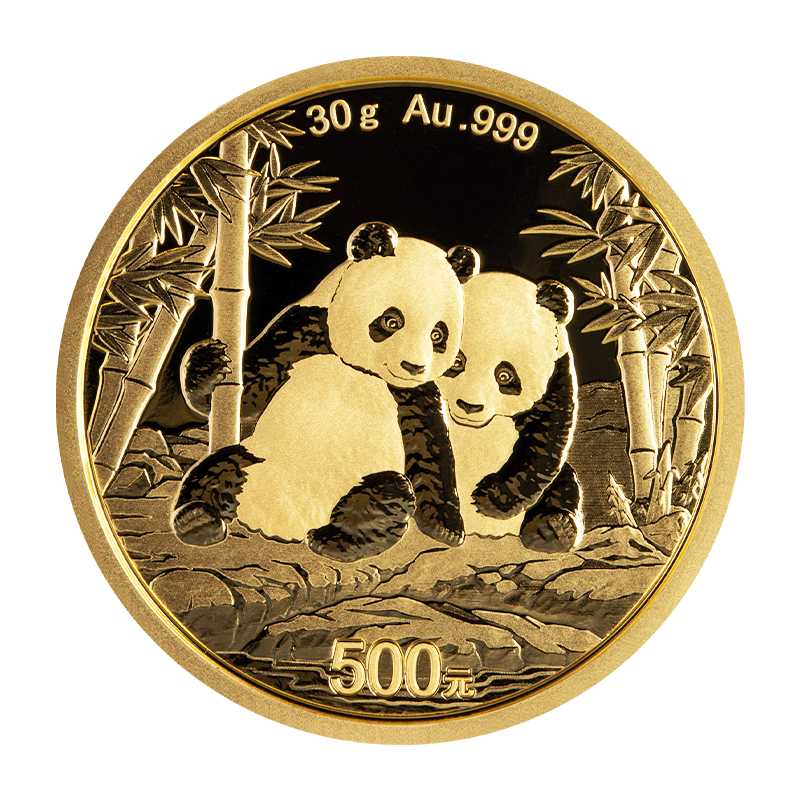 Panda 2026 - China 30 g Goldmünze