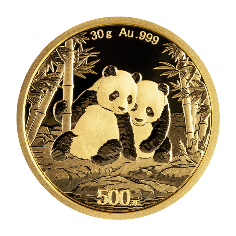 Panda 2026 - China 30 g Goldmünze